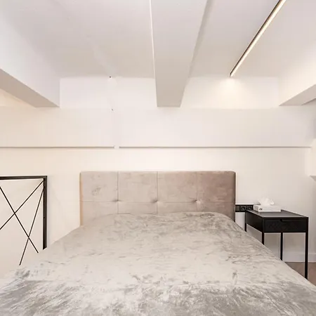 Cozy Loft In Center Vilnius