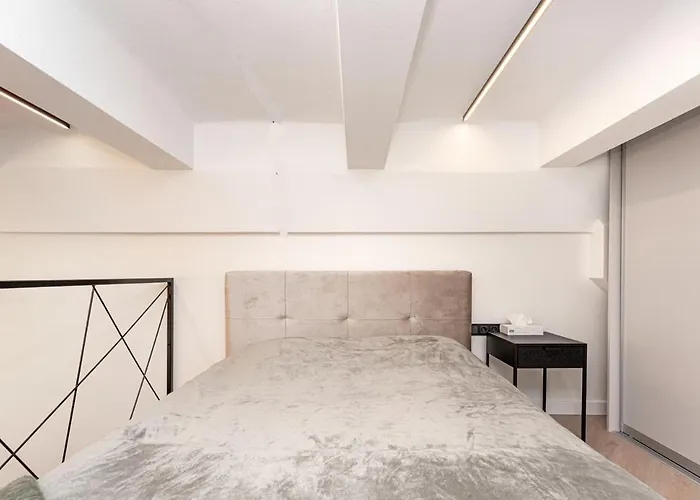 Cozy Loft In Center Vilnius