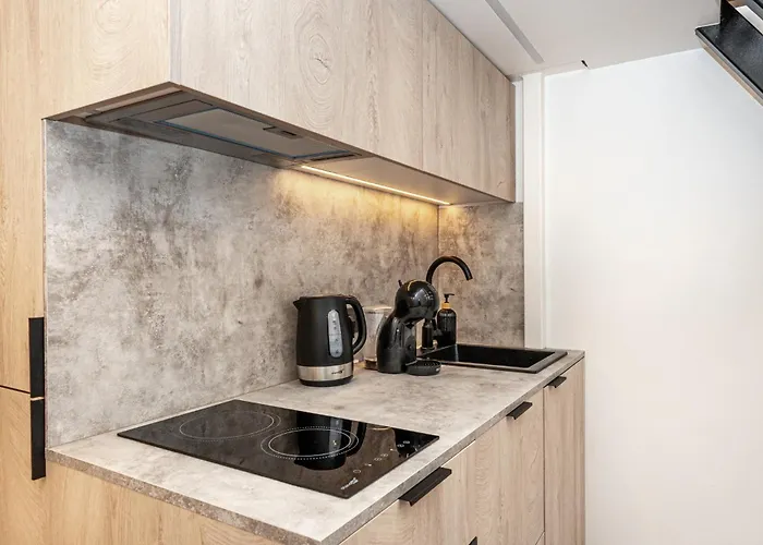 Cozy Loft In Center ヴィリニュス